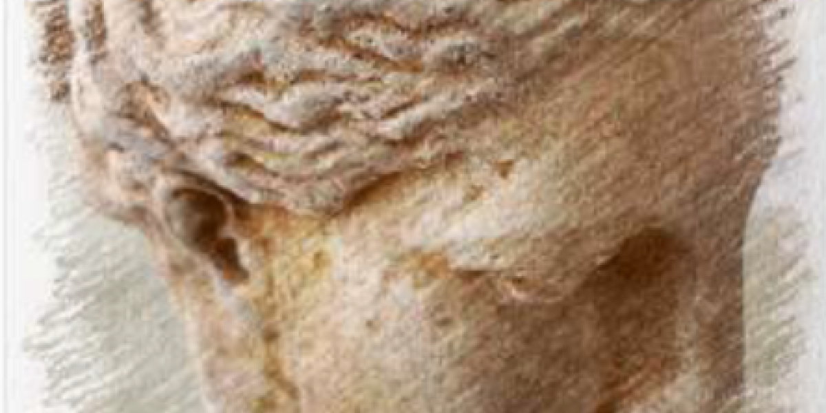 Portada revista Asemeya XIX